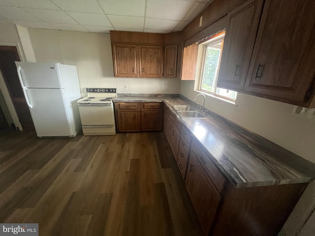 kitchen featuring a paneled ceiling, sink, dark wood-type flooring, and white appliances