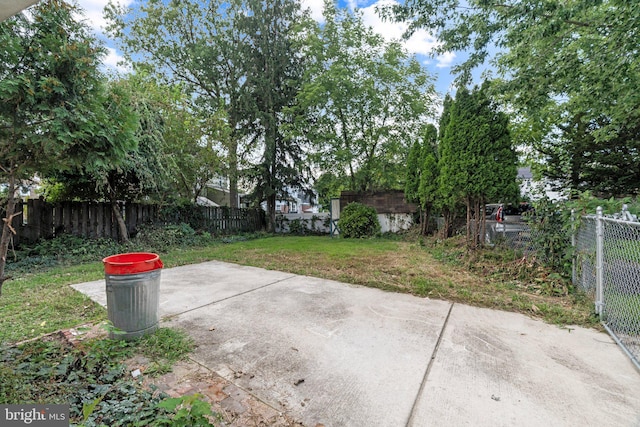 view of yard with a patio