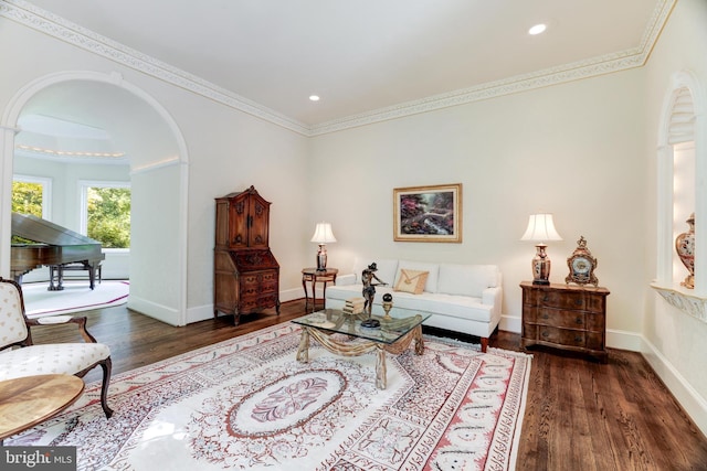 living room featuring ornamental molding and dark wood-type flooring