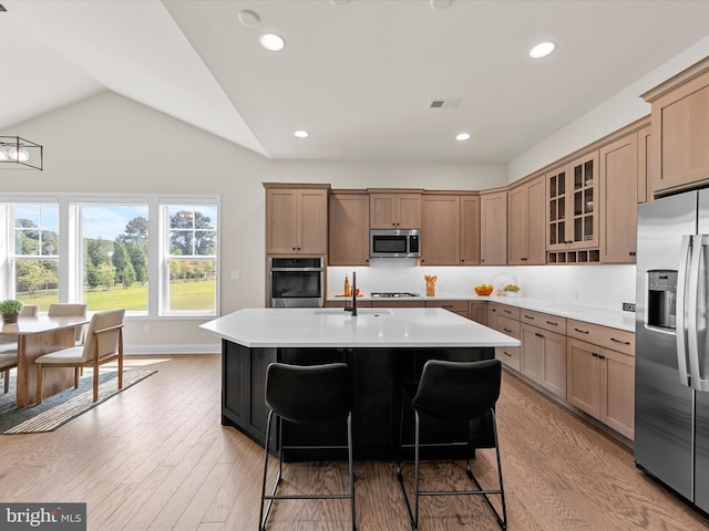 kitchen featuring stainless steel appliances, light hardwood / wood-style floors, and a kitchen island with sink