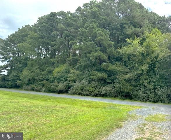 Listing photo 2 for LOT227 Smugglers Way, Greenbackville VA 23356