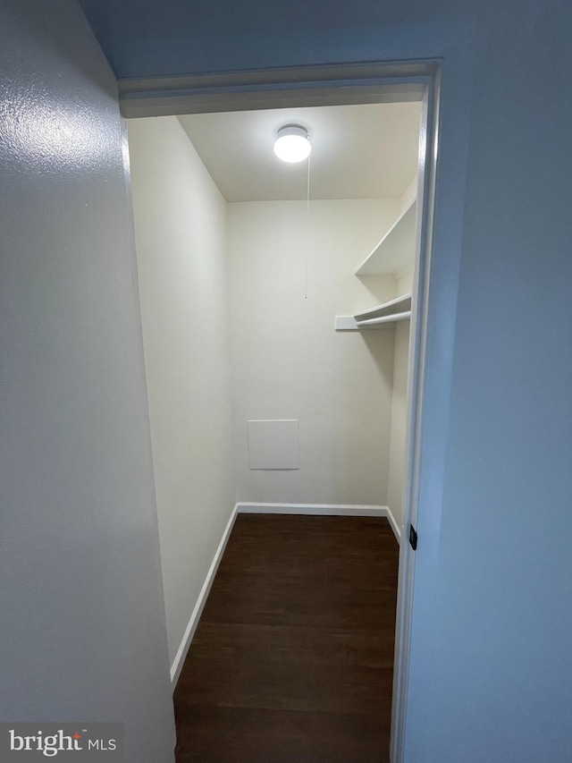 walk in closet featuring dark wood-type flooring