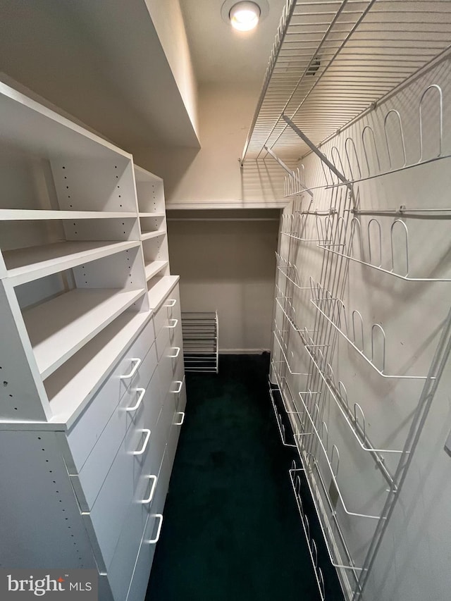 view of walk in closet