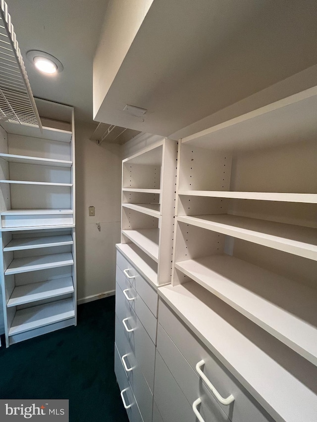 view of spacious closet