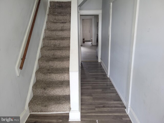 staircase with hardwood / wood-style floors