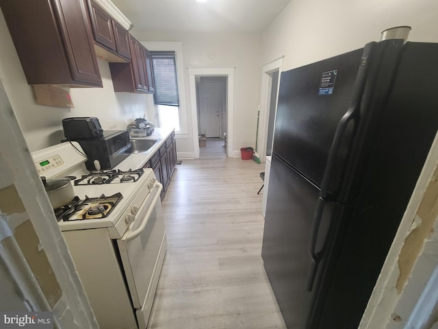 kitchen featuring dark brown cabinetry, freestanding refrigerator, white gas range, light countertops, and light wood-type flooring