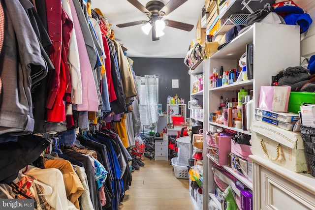 walk in closet featuring ceiling fan and light hardwood / wood-style floors