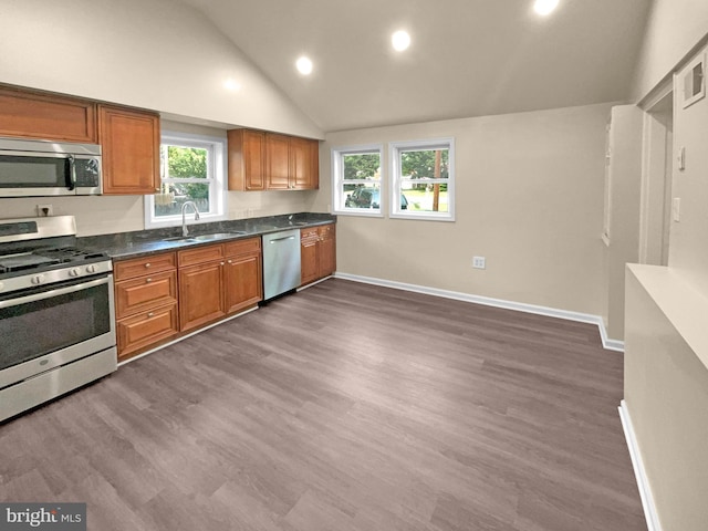 kitchen with dark hardwood / wood-style flooring, high vaulted ceiling, sink, and stainless steel appliances