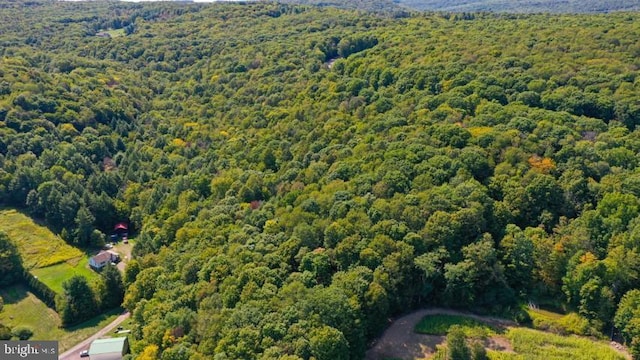 16 E Bittinger Rd, Grantsville MD, 21536 land for sale