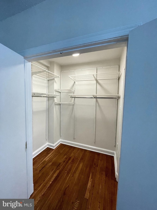 walk in closet featuring dark hardwood / wood-style flooring