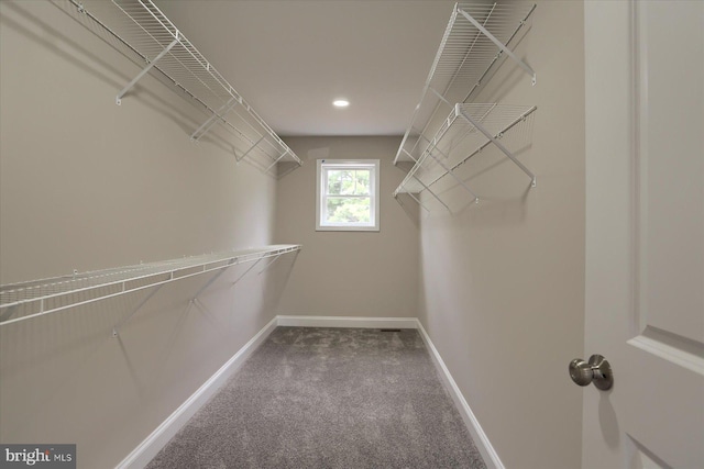 walk in closet with carpet