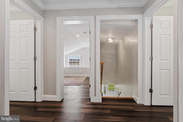 corridor featuring dark hardwood / wood-style flooring and crown molding