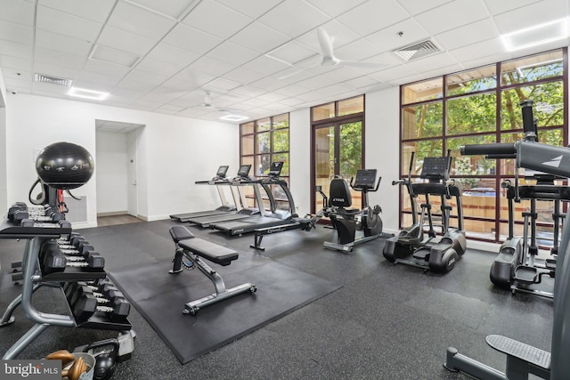 gym featuring expansive windows and a paneled ceiling