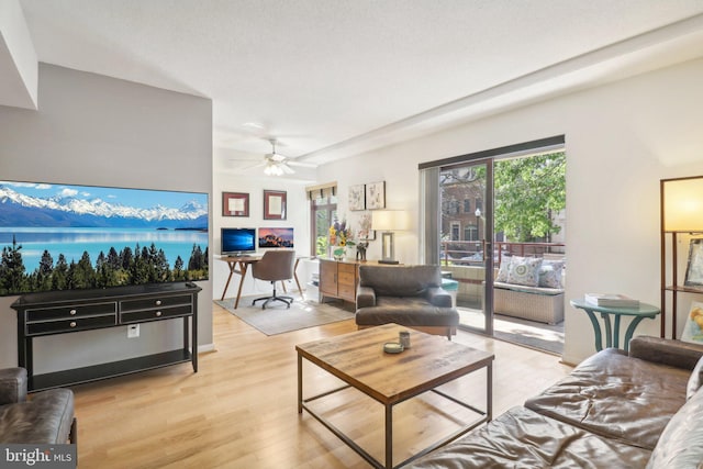 living area featuring ceiling fan and light wood-style flooring