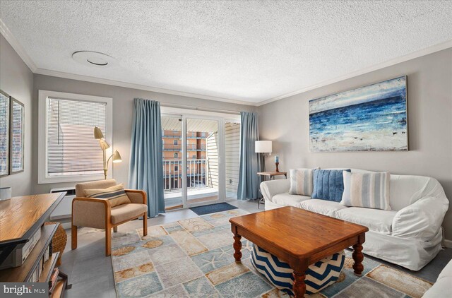 living room with a textured ceiling, a healthy amount of sunlight, and ornamental molding