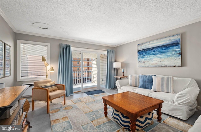 living area with a textured ceiling and crown molding