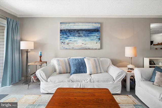 living room featuring a textured ceiling, light colored carpet, and crown molding