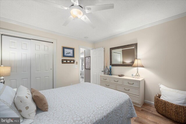 bedroom featuring ceiling fan, a closet, light hardwood / wood-style floors, a textured ceiling, and crown molding