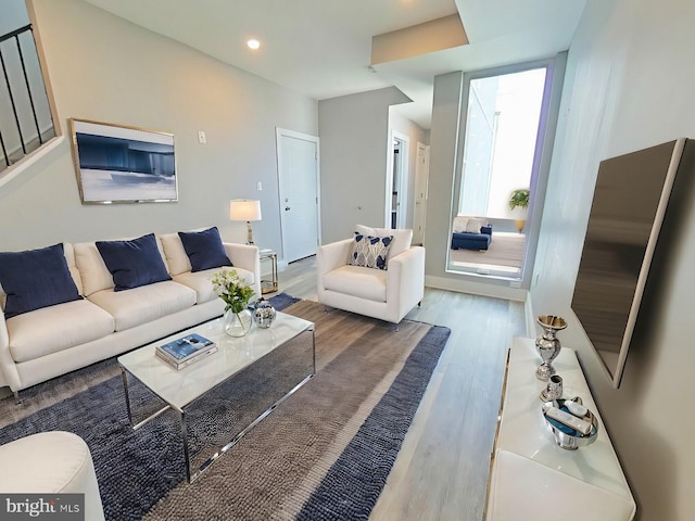 living room featuring hardwood / wood-style floors