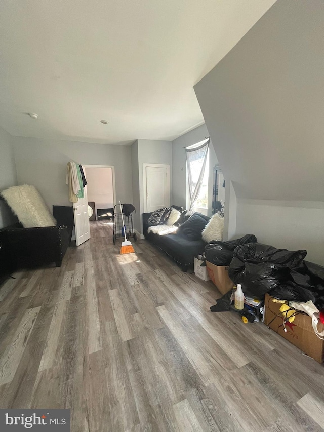 bonus room featuring hardwood / wood-style floors