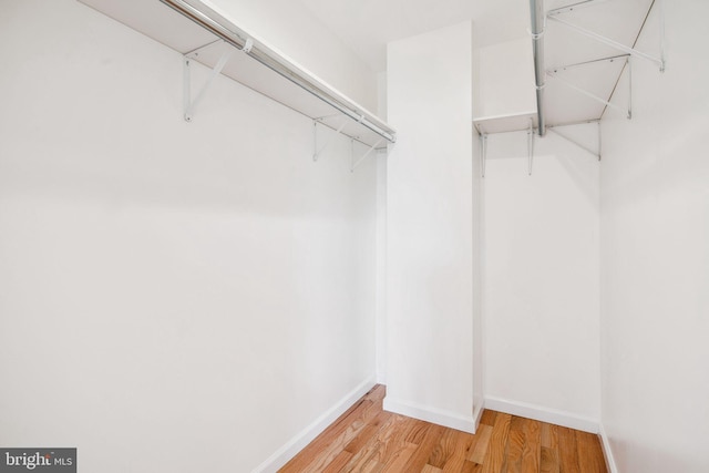 spacious closet with light hardwood / wood-style flooring