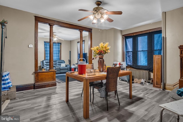 dining area with hardwood / wood-style flooring, radiator heating unit, and ceiling fan