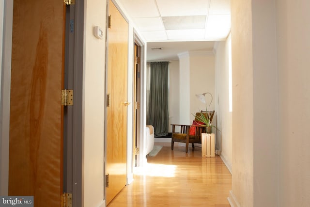 hall featuring visible vents, radiator heating unit, light wood-type flooring, and a paneled ceiling