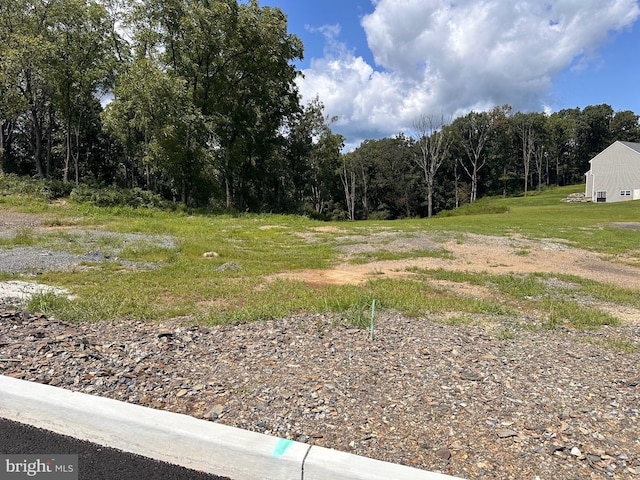 view of yard with a wooded view