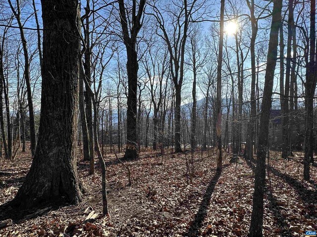 67 Dogwood Rd Unit 51, Wintergreen Resort VA, 22967 land for sale