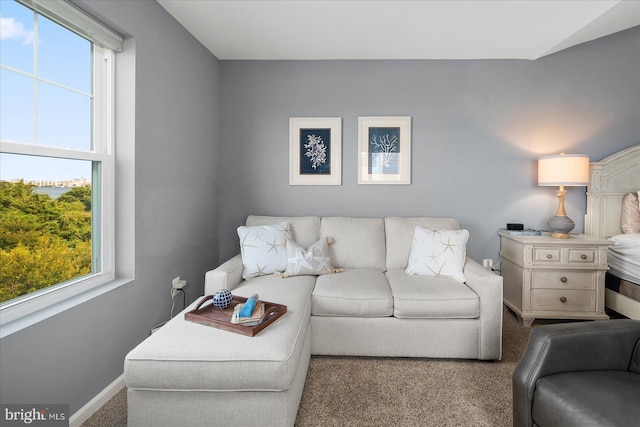 living area featuring baseboards, carpet, and a healthy amount of sunlight