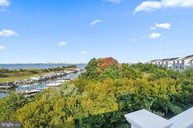 water view featuring a dock