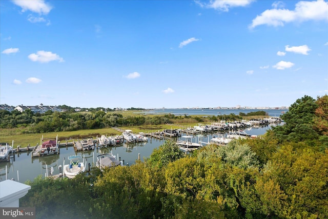 water view featuring a dock