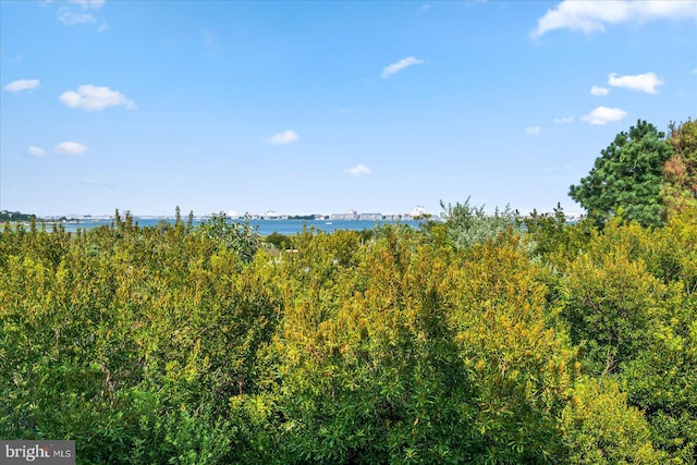 view of landscape with a water view