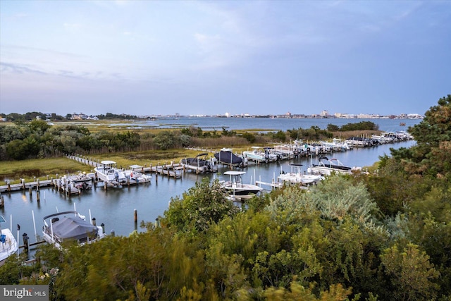 dock area featuring a water view