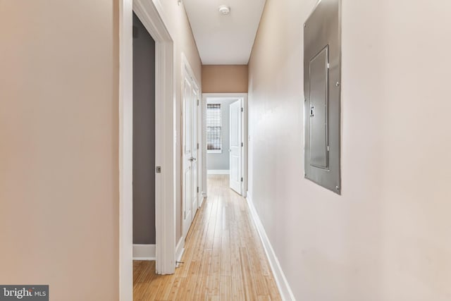 hallway featuring light wood-type flooring and electric panel