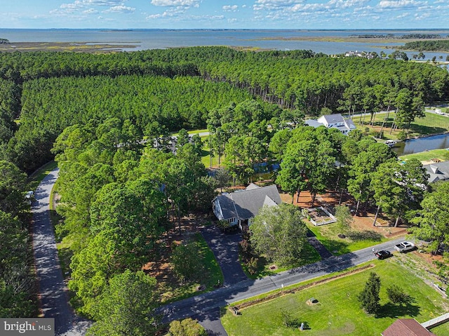 drone / aerial view featuring a water view and a forest view