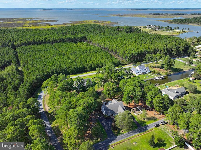 drone / aerial view with a water view and a wooded view