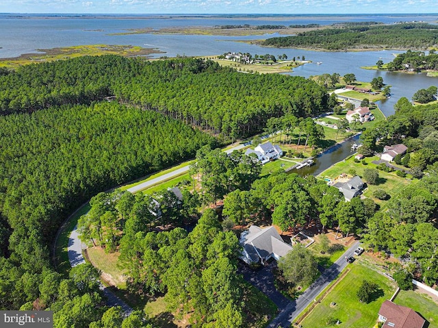 birds eye view of property featuring a forest view and a water view