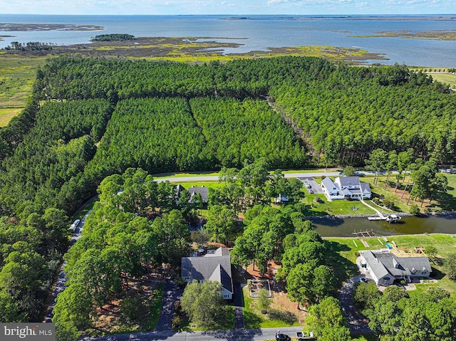 drone / aerial view featuring a forest view and a water view