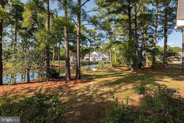 view of yard featuring a water view