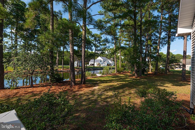 view of yard with a water view