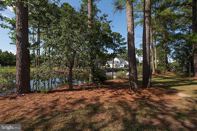 view of yard with a water view