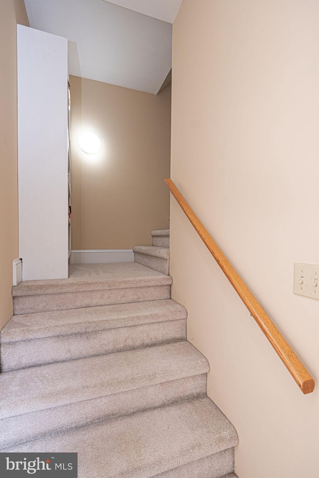 stairs featuring carpet