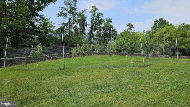 view of yard featuring fence