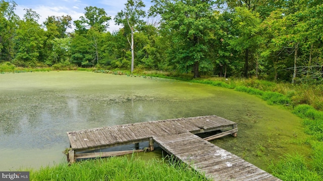 view of dock