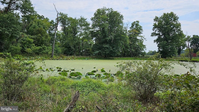 view of landscape