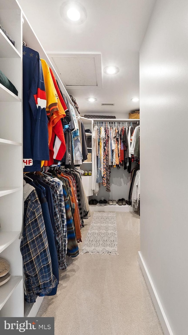 spacious closet with carpet floors and attic access