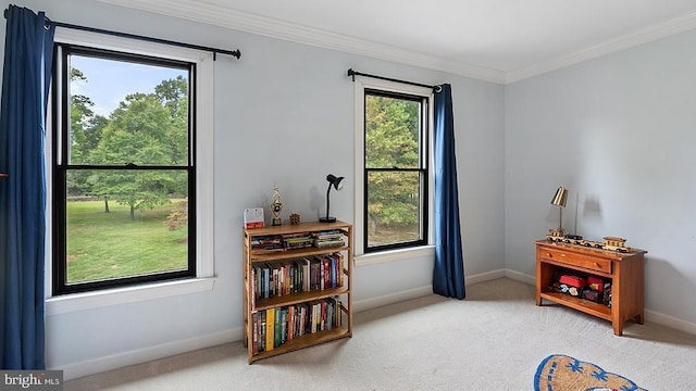 interior space featuring carpet, baseboards, and crown molding