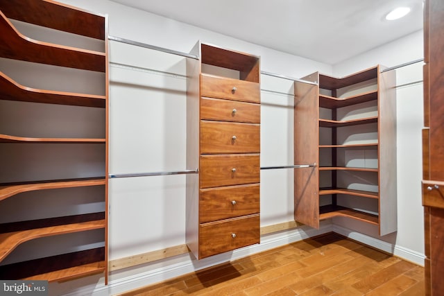 spacious closet featuring wood finished floors