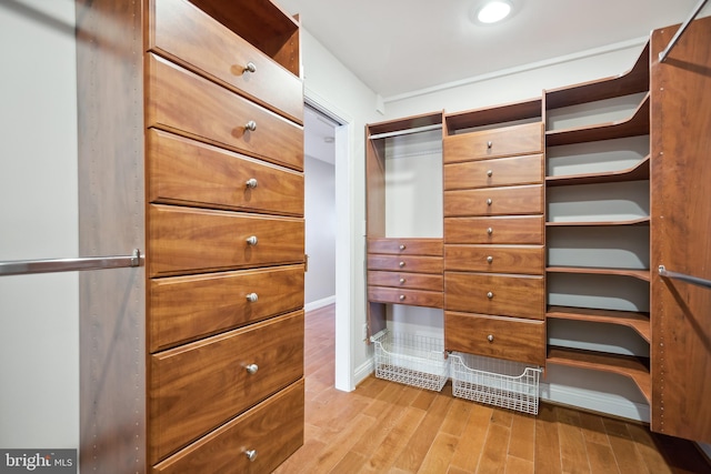 spacious closet featuring light wood-style flooring